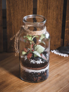 SAN PEDRO 2 XS – Image 4