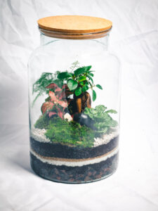 Minca M – Image 2