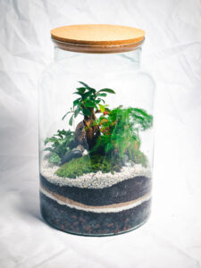 Minca M – Image 4