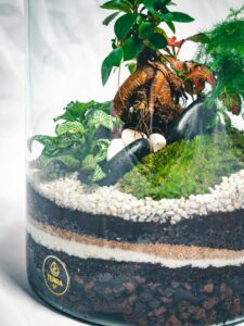 Terrariums