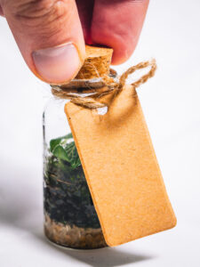 Mini Terrarium – Image 3