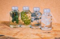 Mini herbarium