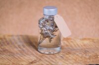 Mini herbarium – Image 3