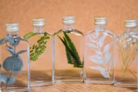 Mini herbarium – Image 8