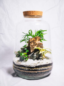 Sibu M – Image 2