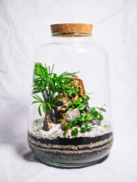 Sibu M – Image 4