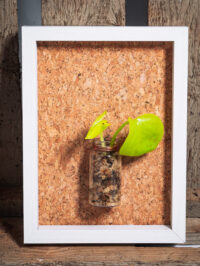 Station de bouturage – Image 2
