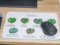 Tapis de souris - Entretien des plantes – Image 2