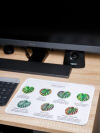 Tapis de souris - Entretien des plantes