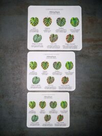 Tapis de souris - Entretien des plantes – Image 6