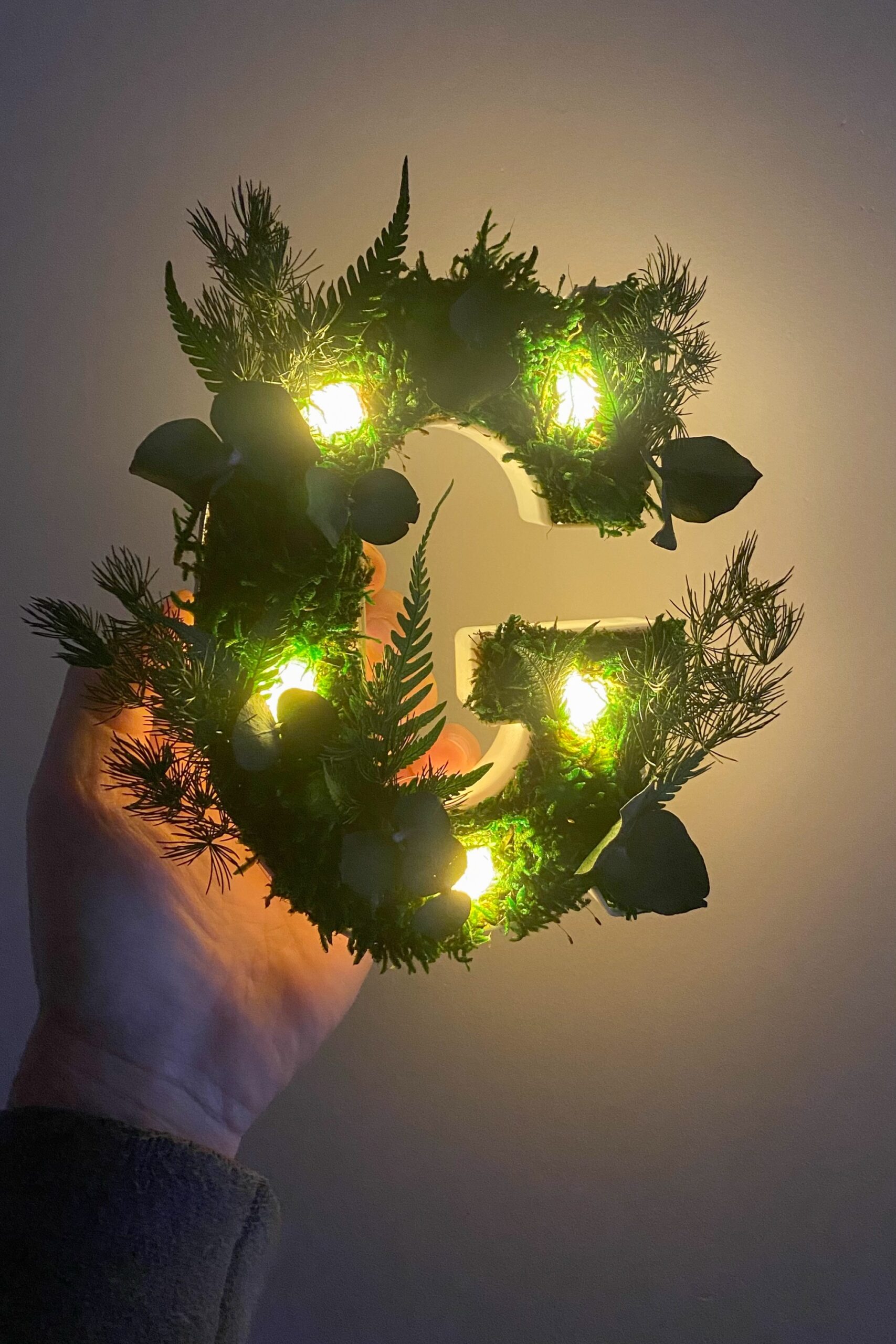 Lettre G en végétaux stabilisés – Image 2