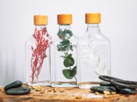 Herbarium - Plantes immergées