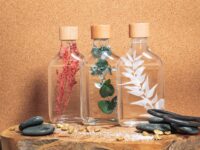Herbarium - Plantes immergées – Image 2