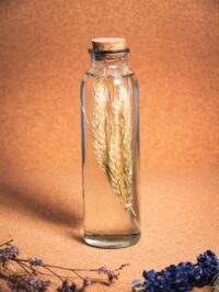 Herbarium - Plantes immergées – Image 8