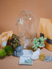 Kit terrarium Cloche