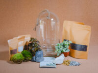 Kit terrarium Cloche – Image 2