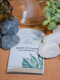 Kit terrarium Cloche – Image 6