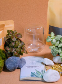 Kit terrarium Capsule