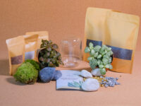 Kit terrarium Capsule – Image 2