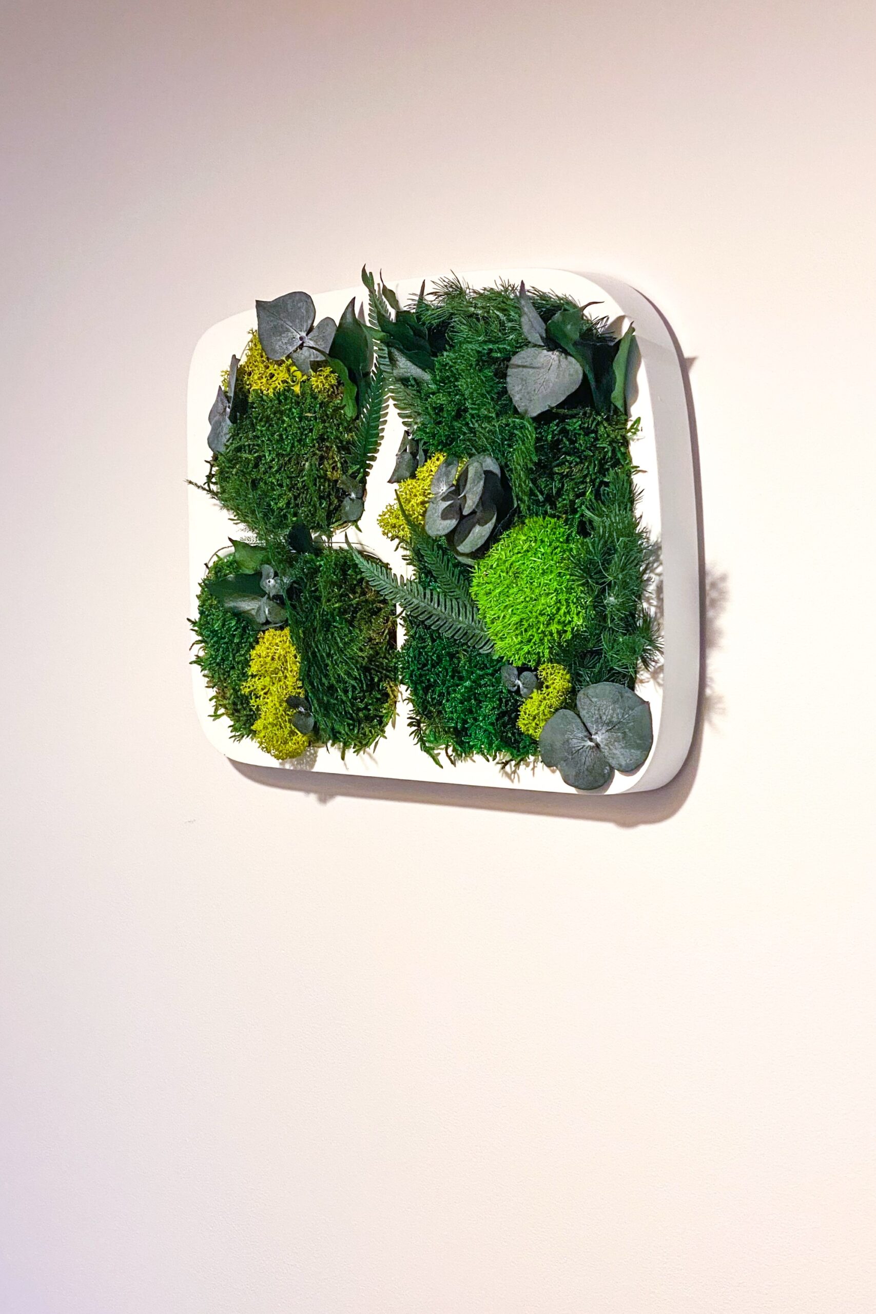 Tableau végétaux stabilisés – Image 4