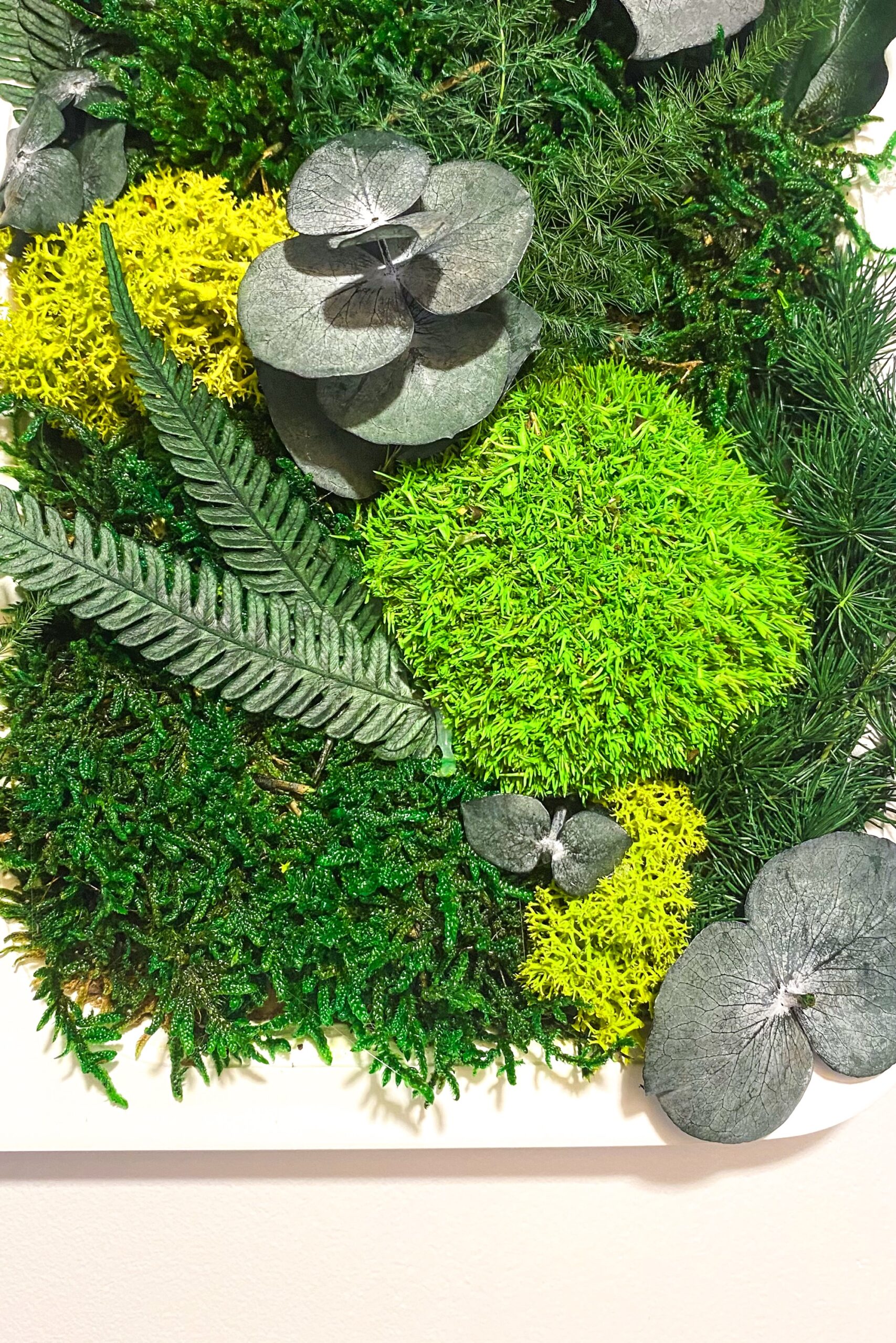 Tableau végétaux stabilisés – Image 3