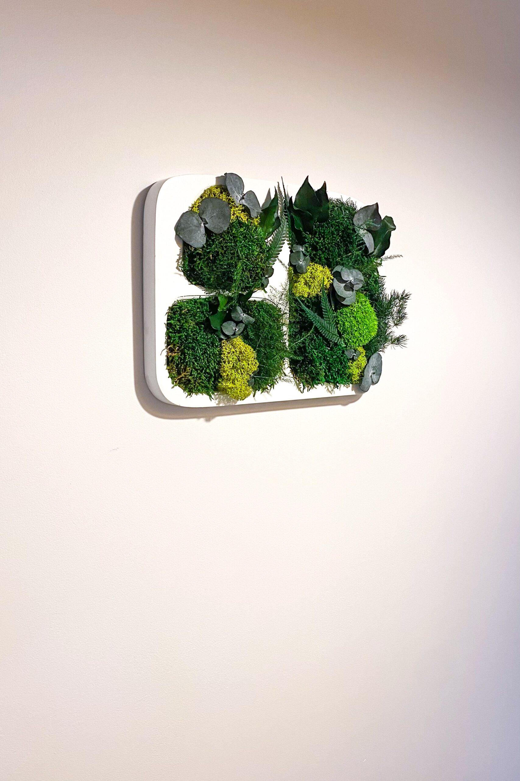 Tableau végétaux stabilisés