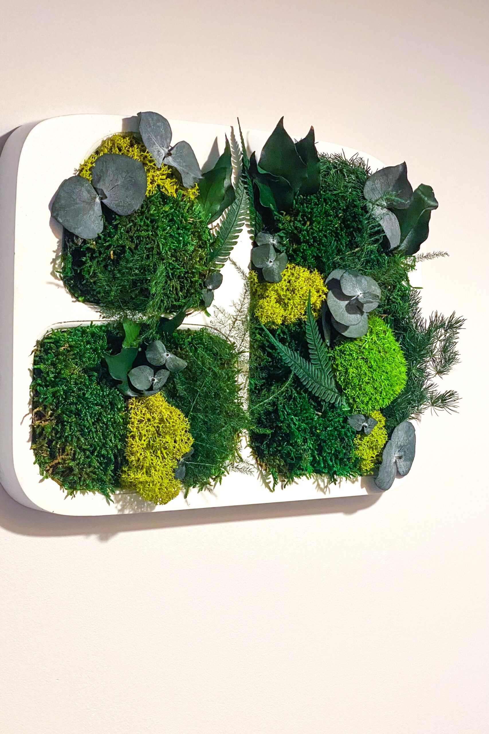 Tableau végétaux stabilisés – Image 2