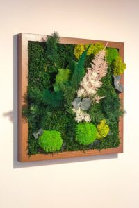 Cadre végétaux stabilisés - Alberta