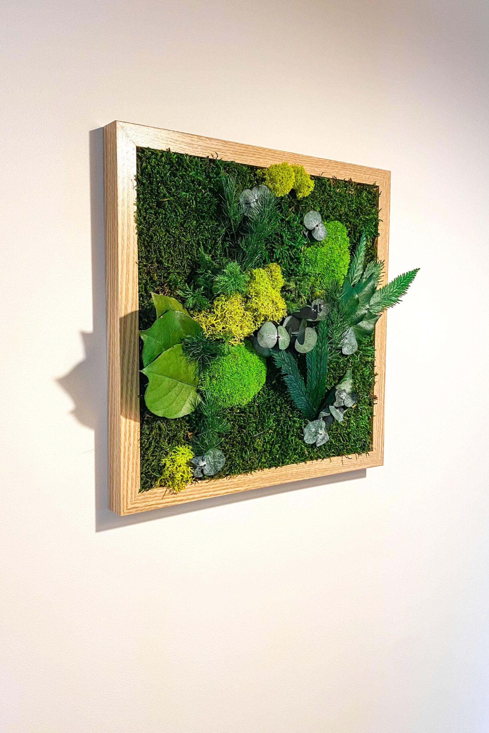 Cadre végétaux stabilisés - Galha – Image 5