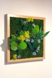 Cadre végétaux stabilisés - Galha