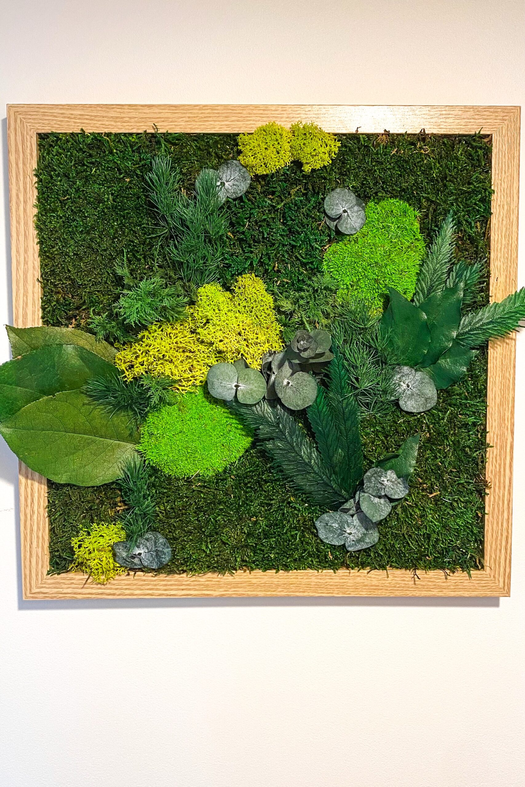 Cadre végétaux stabilisés - Galha – Image 2