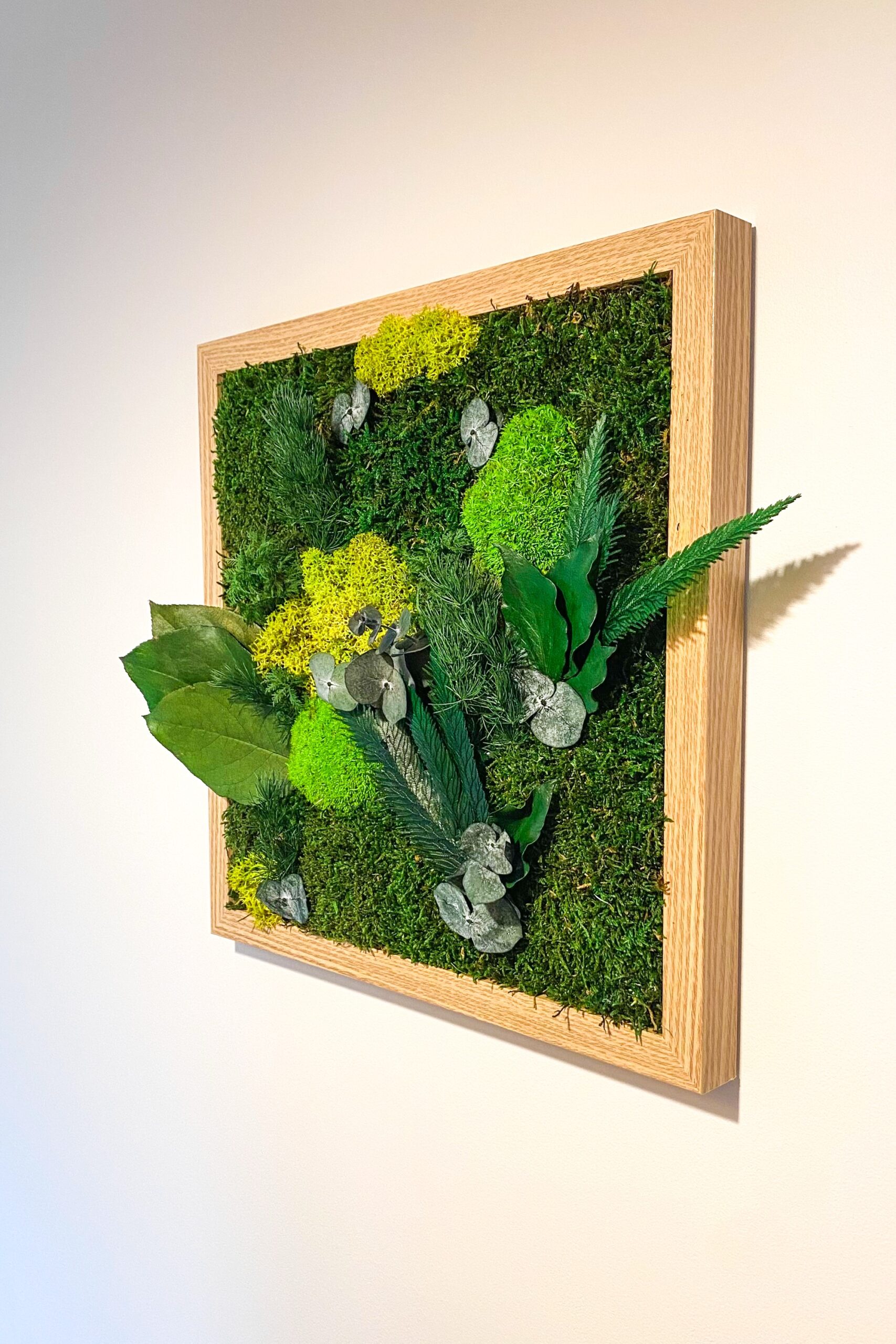 Cadre végétaux stabilisés - Galha – Image 3